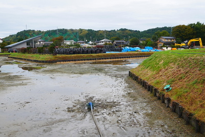 右郭と南側水堀