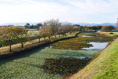 本丸土塁からの東側水堀