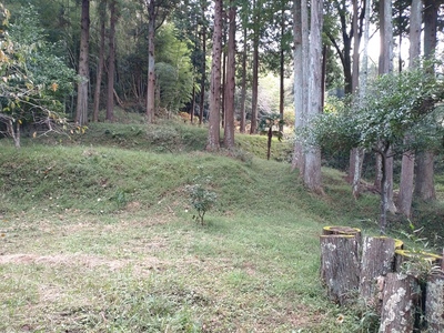 真勝寺墓地より見上げる