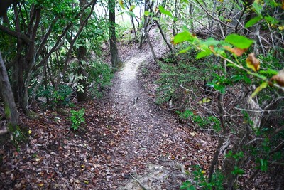 土橋（北の丸北側）