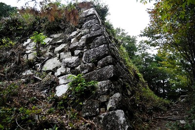 石垣（北の丸北西隅）