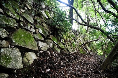 石垣（北の丸東面）