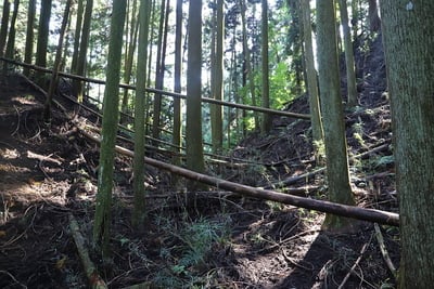 城域北東側にある大堀切