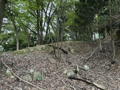 茶室跡に残る土塁