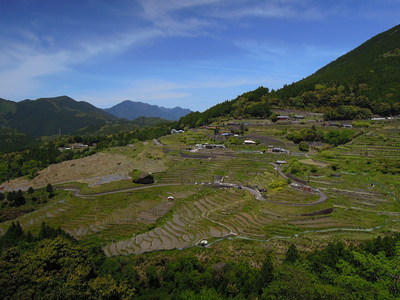 丸山千枚田