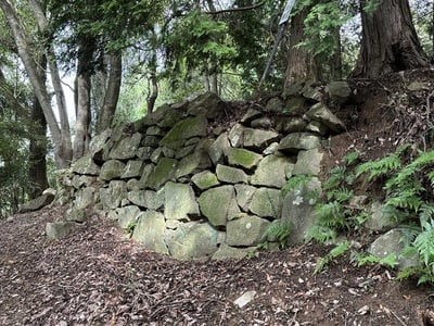 石垣(二の丸南西側の登山道)