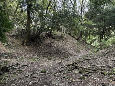 二の丸北面の切岸