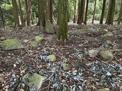 二の丸に残る庭園跡