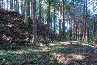 阿木城 東帯曲輪と主郭切岸