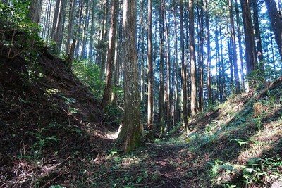 阿木城 北東尾根の堀切