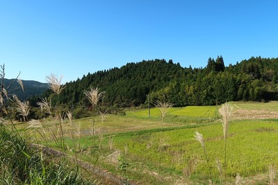 阿木城 遠景（東より）