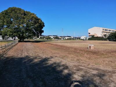 河越館跡史跡公園全景