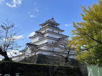 天守と銀杏