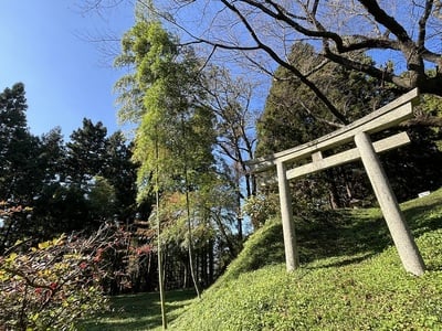 南曲輪跡入口と鳥居