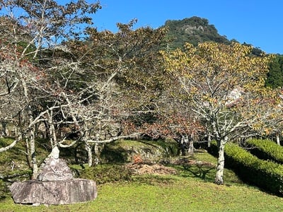 藩主久留島通嘉公石像と角牟礼城址遠景