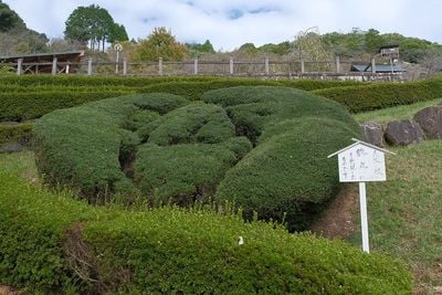 森家の家紋　鶴丸