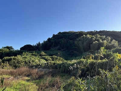 城址遠景