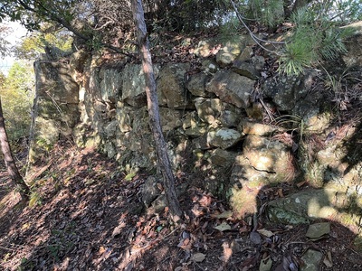 主郭野面積み石垣