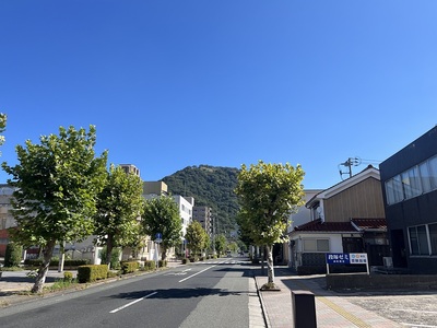 智頭街道から見た久松山