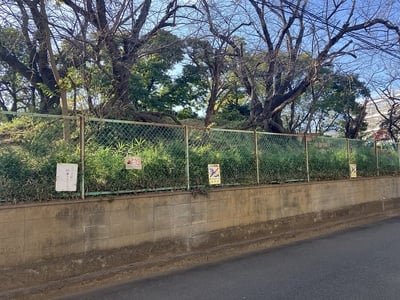 小学校裏にある土塁