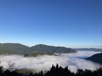 雲海に浮かぶ竹田城