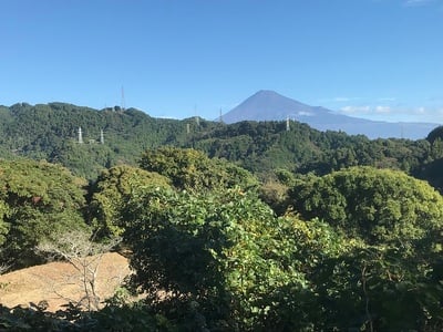 本曲輪からの富士山の眺め