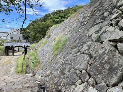 西坂下御門前の登城道から見た右膳ノ丸石垣