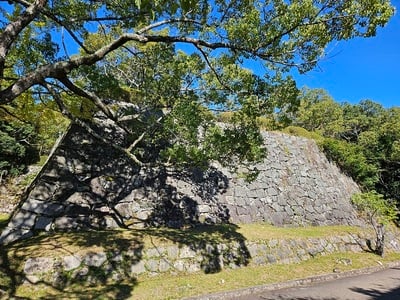 本丸南側石垣（公園入口付近）