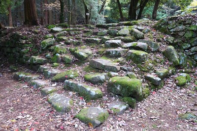 妻木城 御屋敷入口の石段