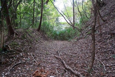 妻木城 御屋敷跡東の横堀