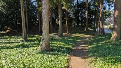 御霊神社の土塁