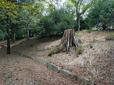 西の丸を囲む土塁