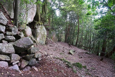 妻木城 帯曲輪と切岸に残る石積