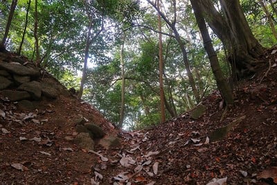 妻木城 蔵跡と太鼓櫓跡の間の堀切