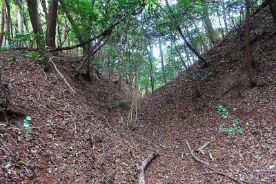 妻木城 太鼓櫓跡西の空堀