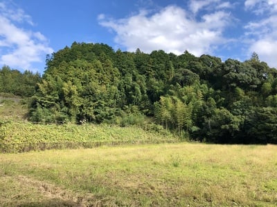 城山遠景（南東から）