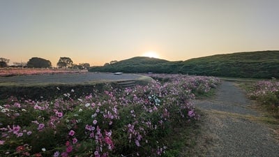 井出二子山古墳