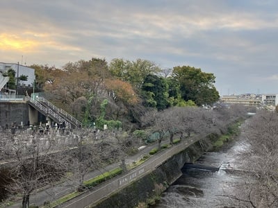 恩田川橋上から城址