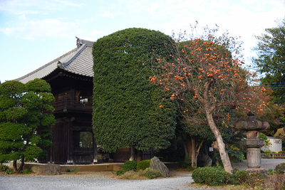 常楽寺 鐘楼門