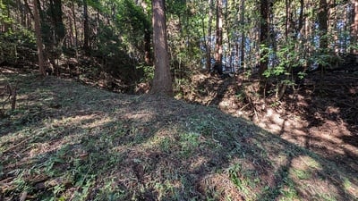 最下層の曲輪を守る南側空堀