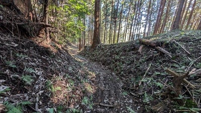 東曲輪最下層の横堀