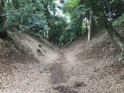 総構（小嶺御鐘ノ台大堀切東堀）