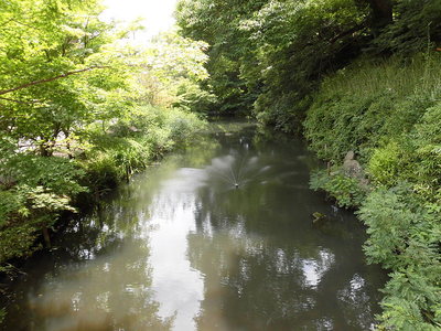 水堀(両町橋付近)