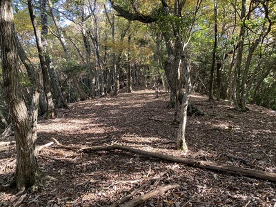 馬場丸跡