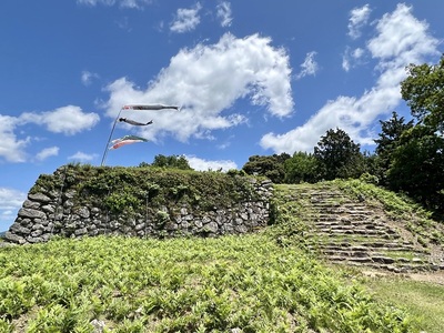 主郭石垣と石段（西から）