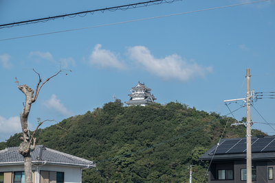 模擬天守(南側から)