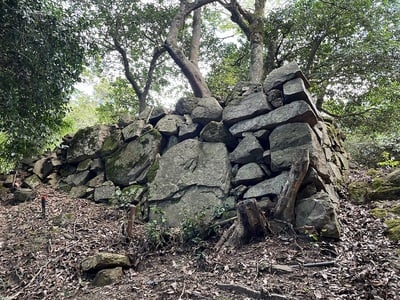 東坂の上城門石垣