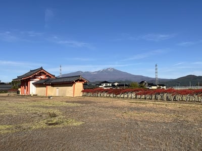 政庁東門より鳥海山を望む