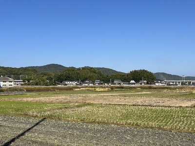 沼（亀山）城遠景