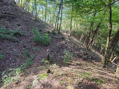 登山道から見下ろす堀切